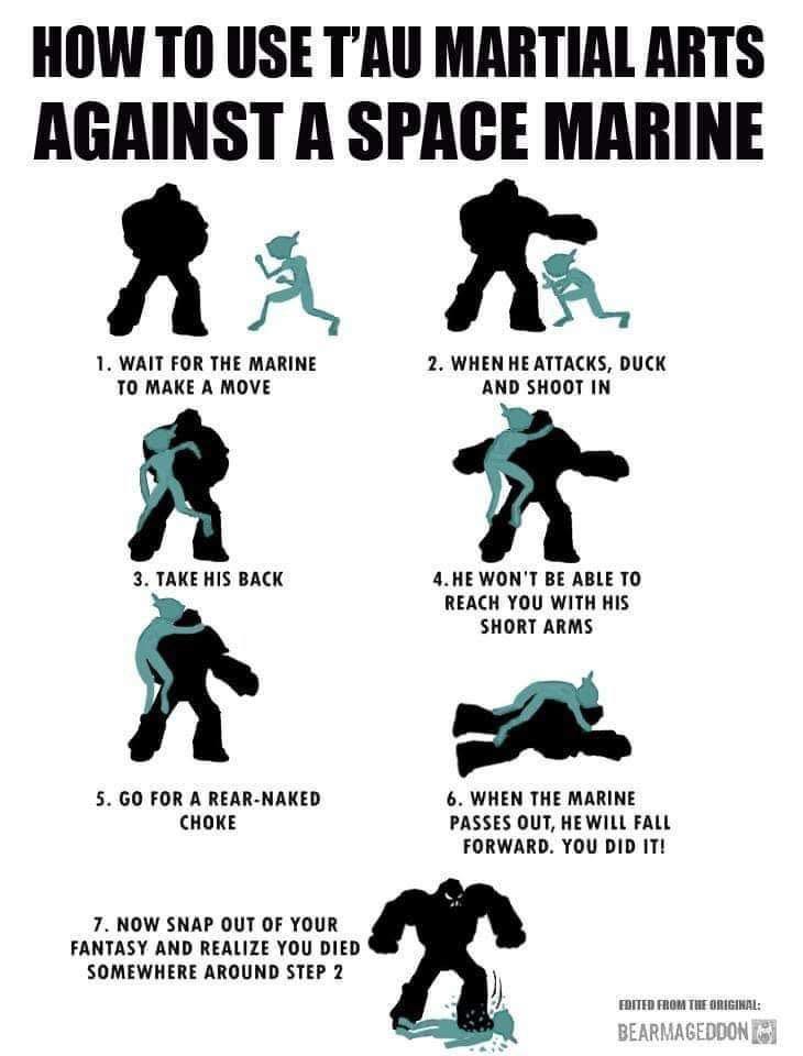 How to Use T'au Martial Arts Against a Space Marine Meme