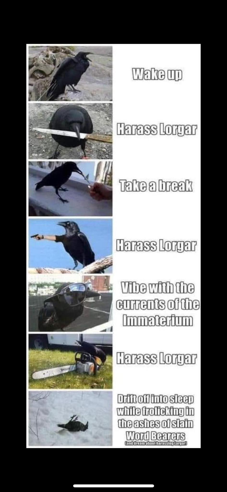 We Harass Lorgar