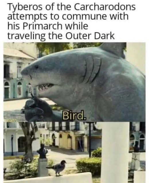 Tyberos warhammer 40k meme