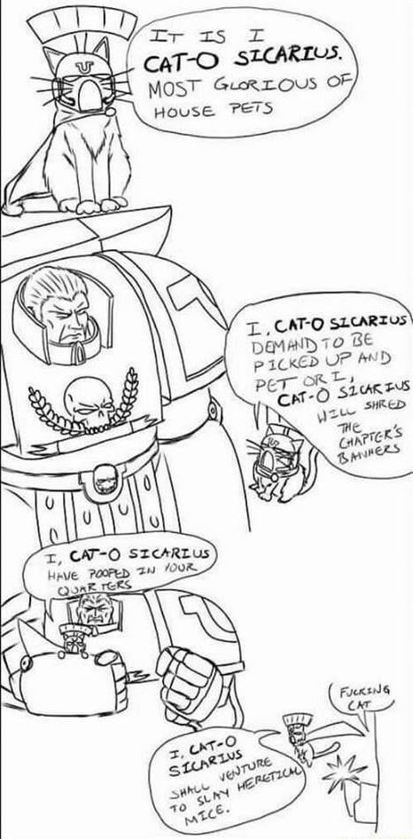 It is I, Cat-O Sicarius!