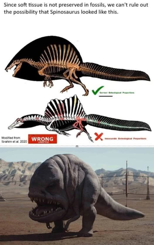 Spinos were actually squigs