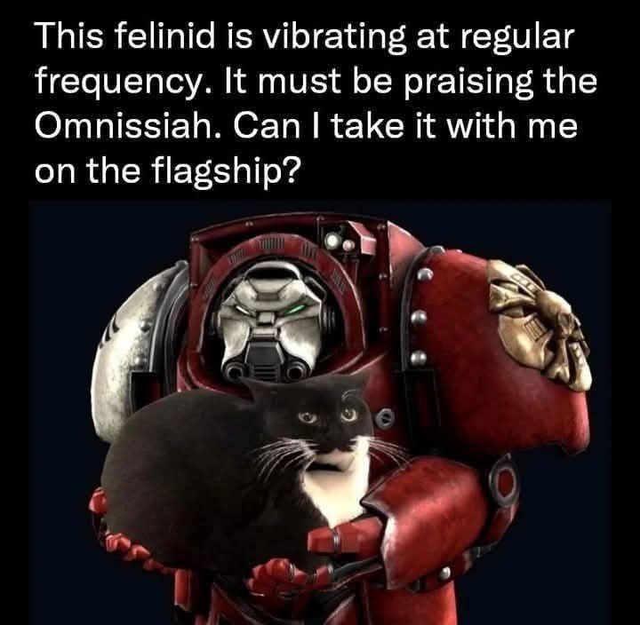 Can I take it with me on the flagship?