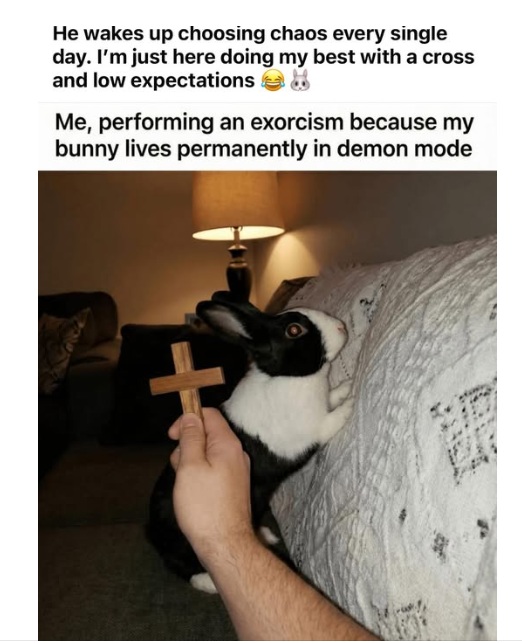 He wakes up choosing chaos everyday