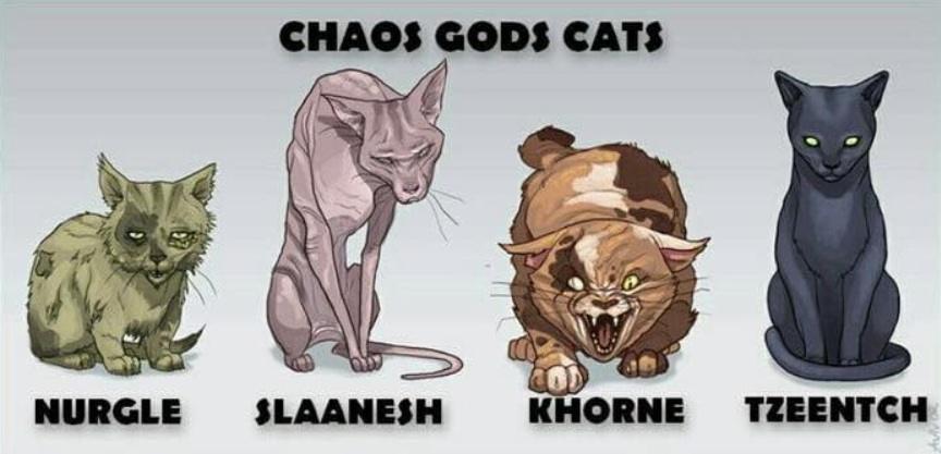 Chaos Gods Cats