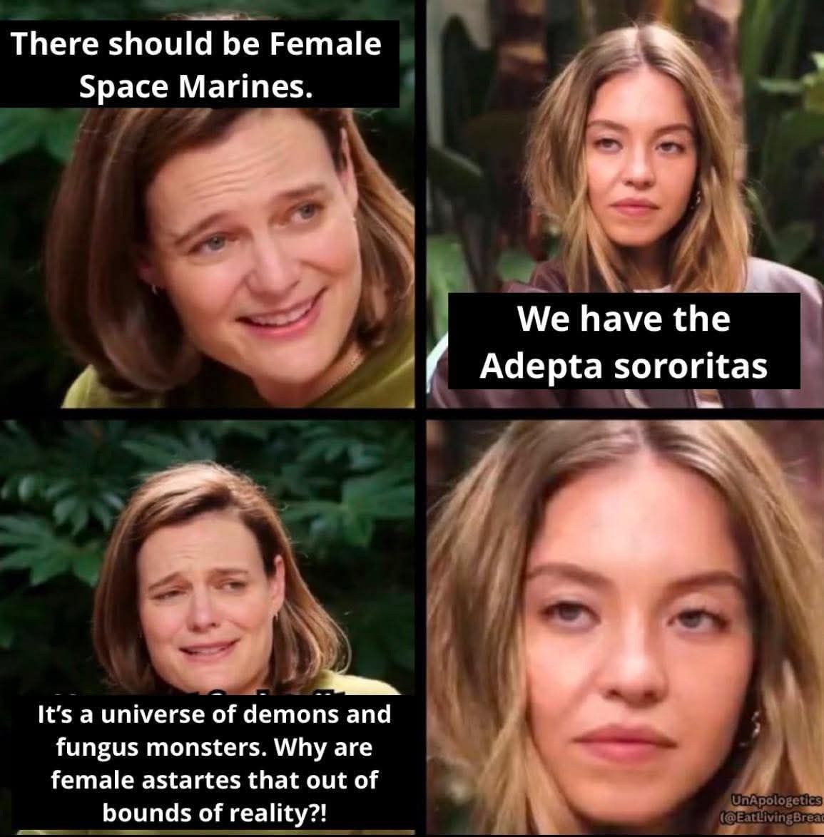 Get Over it, We have Sisters of Battle Warhammer Meme
