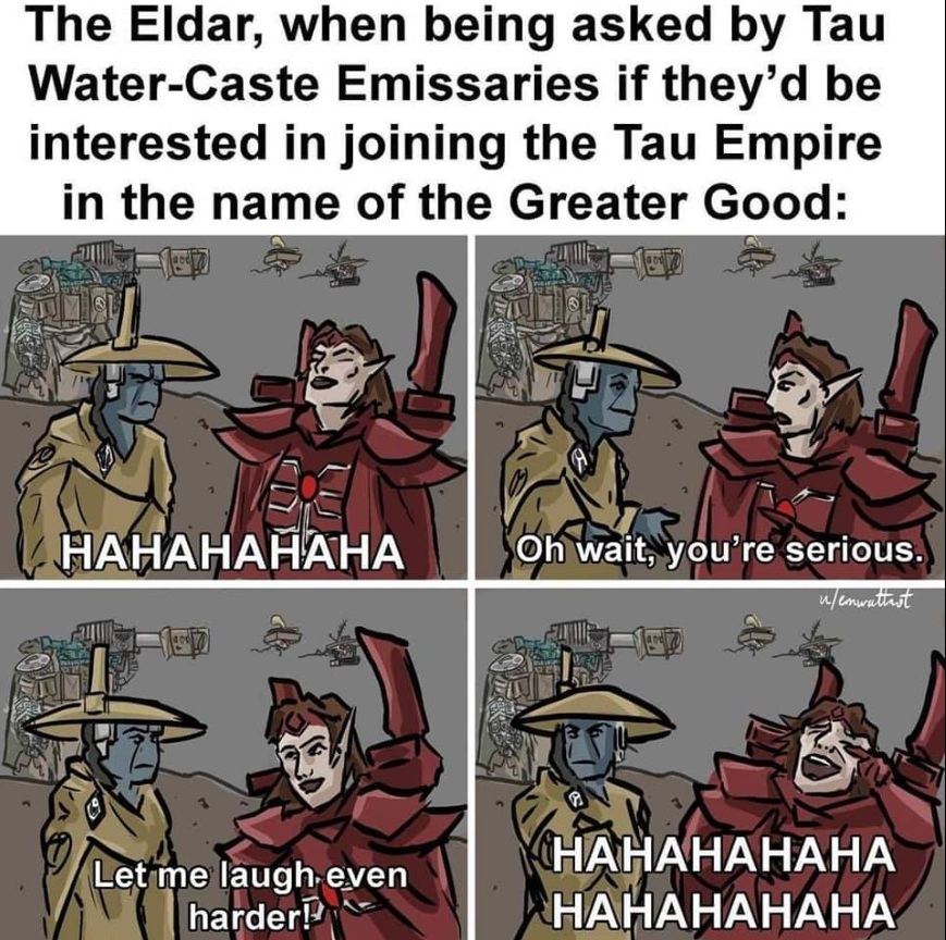 The Eldar's reaction when asked to join the T'au, Warhammer Meme