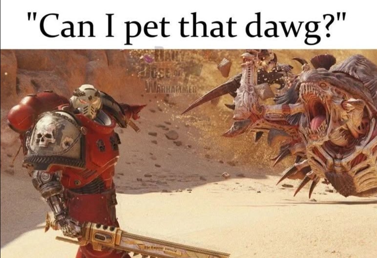 Do not boop that snoot little Blood Raven, Warhammer meme