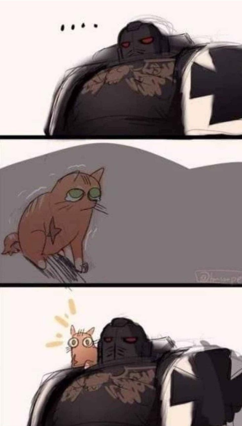 Based Black Templar with Cat, Warhammer Comic