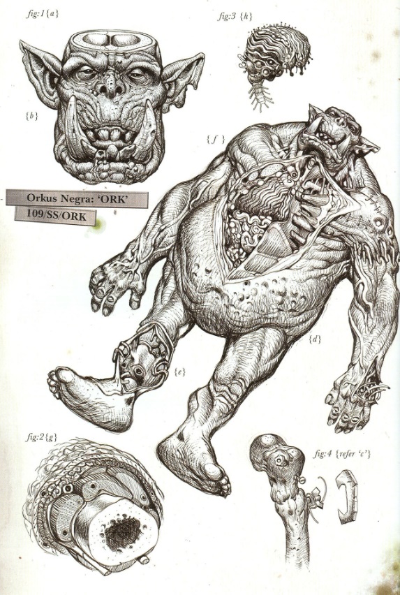 Ork Dissection Art