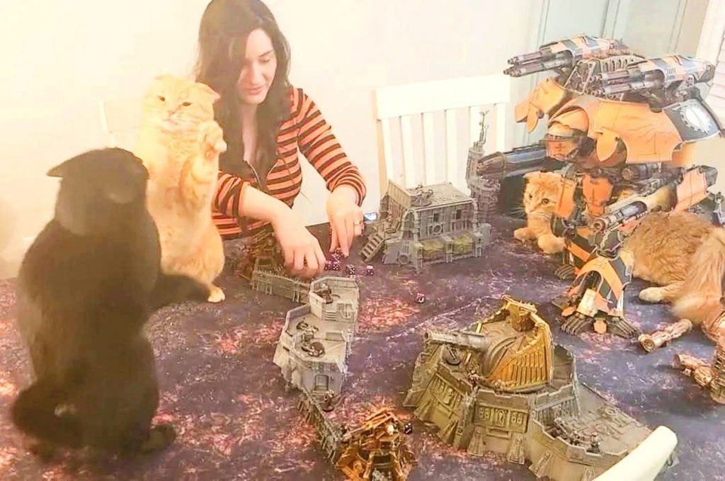 Warhammer Meets Cat Supremacy Meme