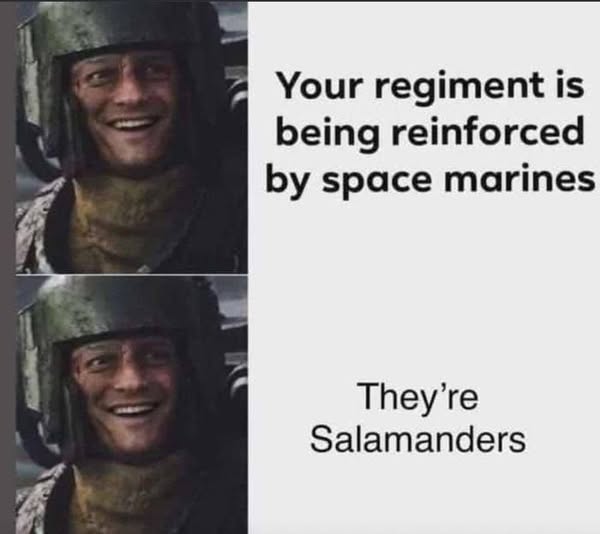 Regiment Reinforced by Space Marines Funny Meme