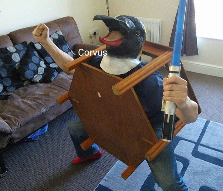 Corvus