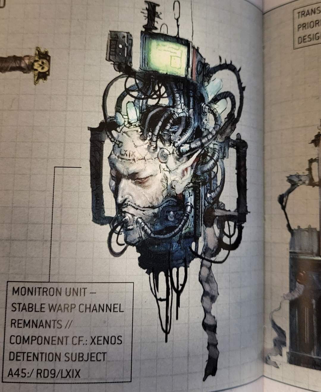 Interesting looking creature