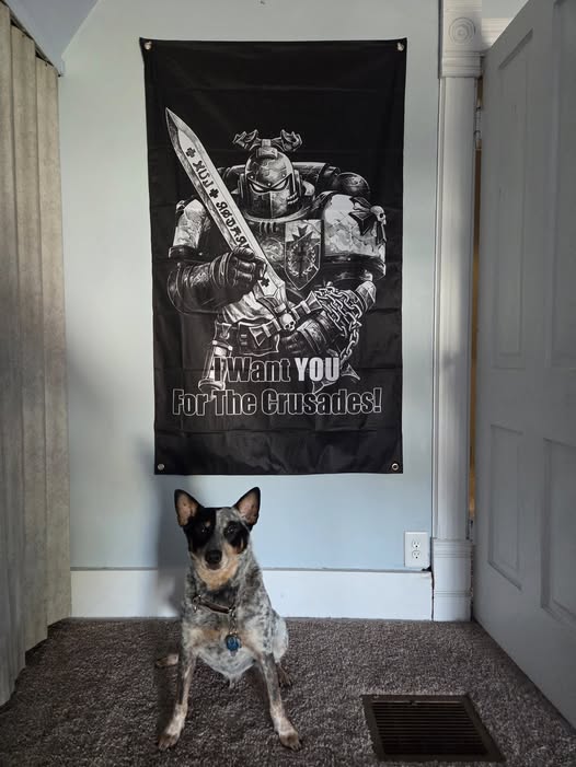 Here we have the proud new recruit