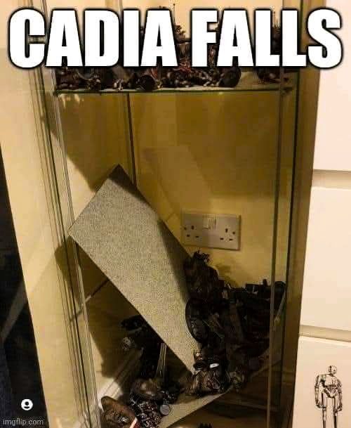 Cadia Fails!