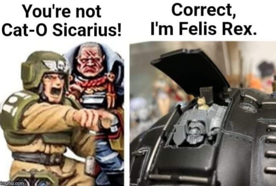 “I am a cat piloting a knight, which is piloting another knight!” -Felix Rex, attributed